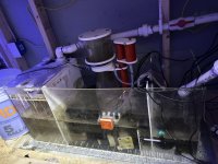 1164017D-0040-4875-BA14-F5777F47B7EE.jpeg