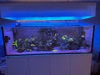IMG_6852.jpeg
