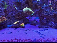 IMG_6851.jpeg
