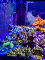 9BE0249A-177E-4F49-A43B-AC8AF0F06037.jpeg