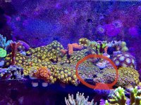 IMG_0395.jpeg