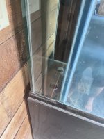 IMG_4428[1].JPG
