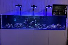 IMG_5530.jpg