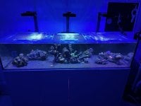 IMG_5617.jpg