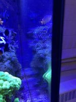 62D6ABC4-A1E6-4759-814D-D6E31FCD5760.jpeg