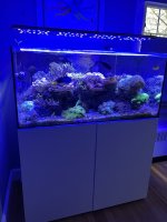 C5D31D0B-7DDB-4CB7-8A40-5F5D0C3A0CA1.jpeg