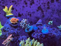 IMG_6894.jpeg