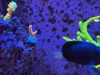 IMG_6897.jpeg