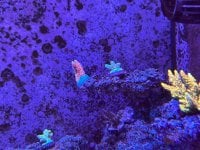 IMG_6896.jpeg