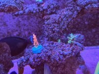 IMG_6895.jpeg