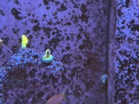 IMG_6892.jpeg