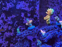 IMG_6893.jpeg