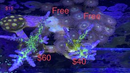 IMG_8821.jpeg