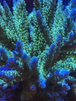 5770D4D7-8687-4993-85E7-D7087E12D845.jpeg