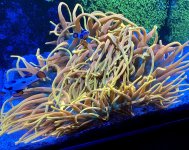 2AA34FD2-AA21-46FD-BD72-D34E48C33660.jpeg