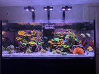 Tank on 4-28-2023.jpeg