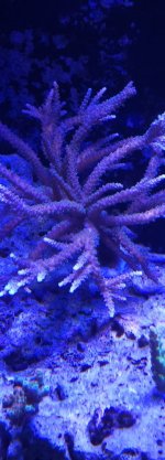 20230430_151056.jpg