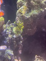 IMG_1693.jpeg