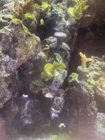 IMG_1691.jpeg