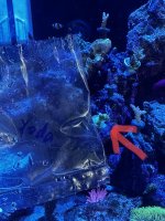 IMG_6285.jpeg