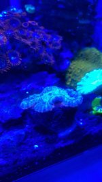 IMG_5283.jpg