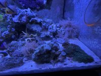 IMG_7773.jpeg
