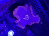 IMG_7866.jpeg