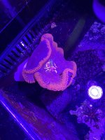 IMG_7865.jpeg