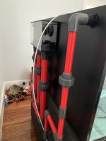 IMG_6522.jpeg