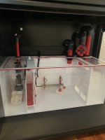 IMG_6525.jpeg