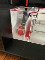 IMG_6576.jpeg