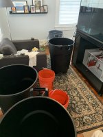 IMG_6543.jpeg
