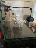 IMG_6545.jpeg