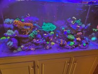 20230512_173337.jpg