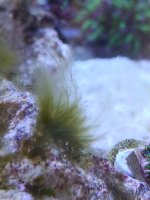 E0983720-48B4-489B-91C2-F17B28C653DF.jpeg