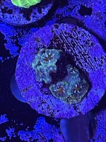 IMG_3210.jpeg