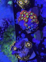 IMG_3208.jpeg
