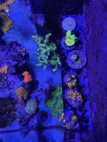 IMG_3206.jpeg