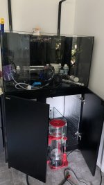 IMG_4077.jpeg