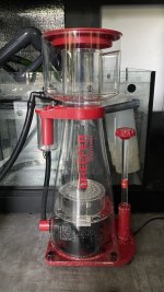 IMG_4075.jpeg