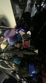 IMG_4067.jpeg