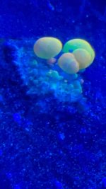 IMG-20230520-WA0013.jpg