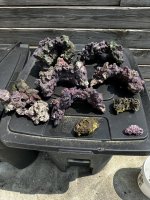 IMG_6387.jpeg