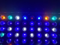 IMG_3470.jpeg