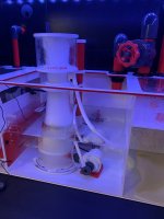 IMG_6607.jpeg