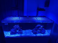 IMG_5823.jpeg