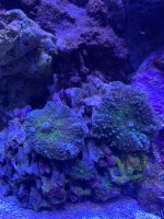 8C26996A-CFB0-4391-94FD-8532BF23D5AB.jpeg