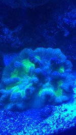 8C0A9476-BD03-4B7A-A259-6A4199F8FEA5.jpeg