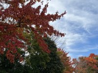 IMG_1606.jpeg