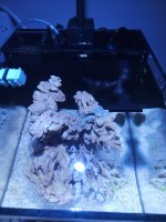 20230609_215229.jpg